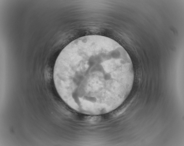 X0000110970135200907171718
