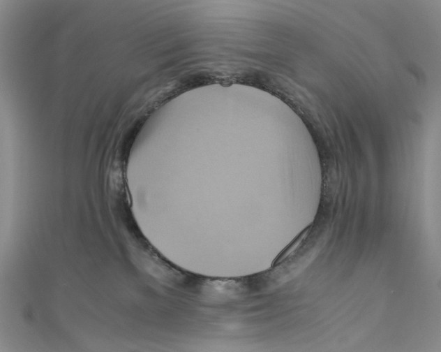 X0000110970137200907171718