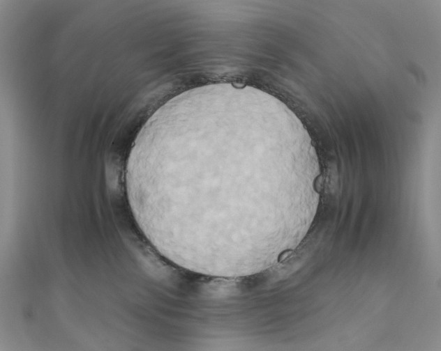 X0000110970138200907171718