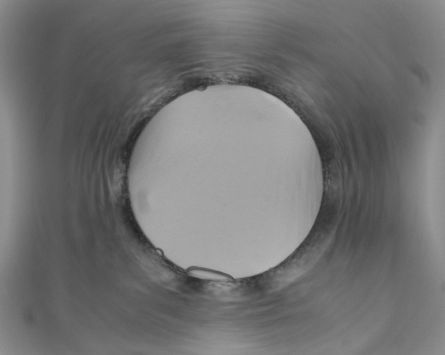 X0000110970139200907171718