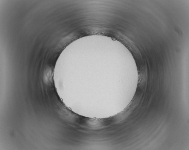 X0000110970142200907171718