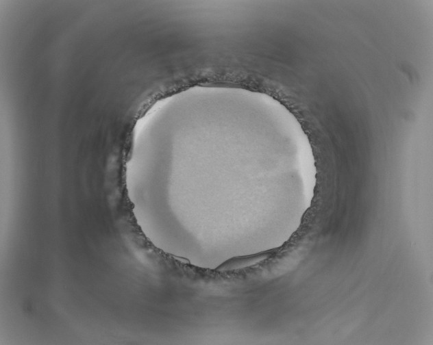 X0000110970144200907171718