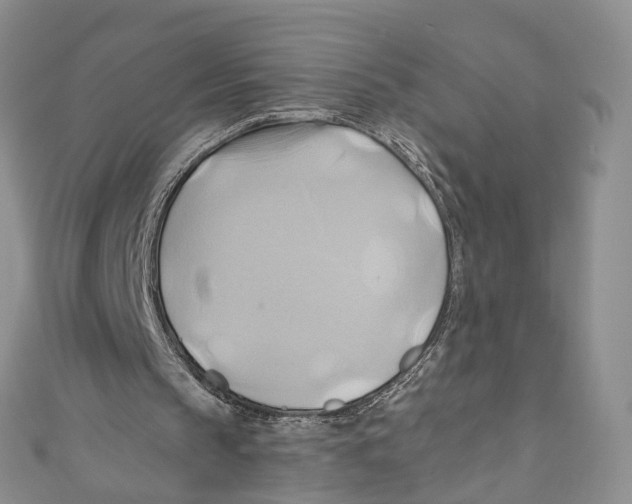 X0000110970145200907171718