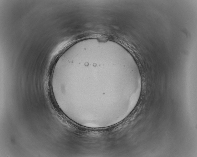X0000110970149200907171718