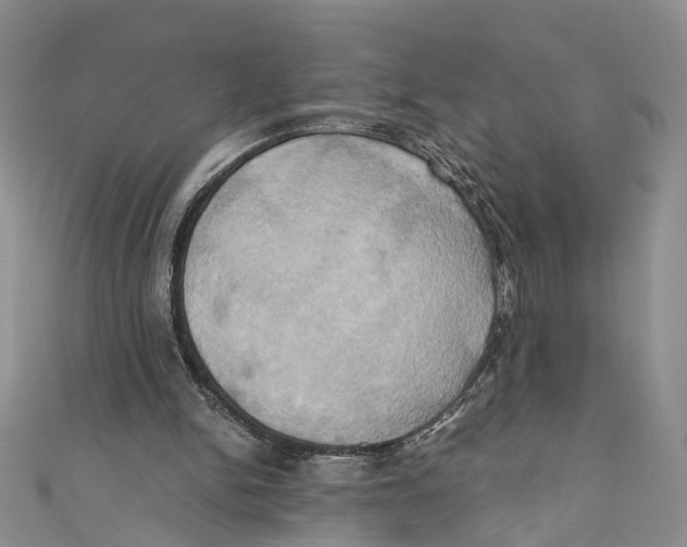 X0000110970150200907171718