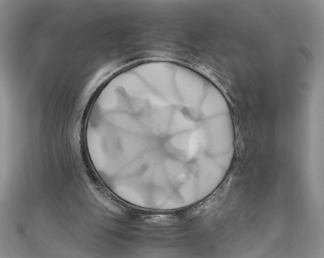X0000110970151200907171718