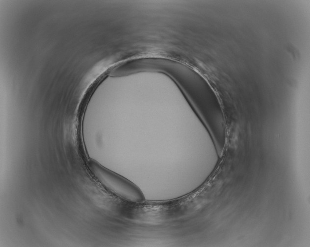 X0000110970152200907171718