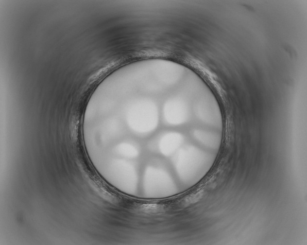 X0000110970153200907171718