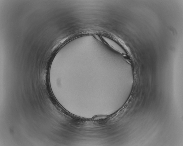 X0000110970154200907171718