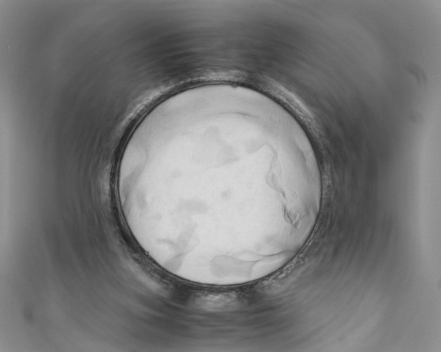 X0000110970155200907171718