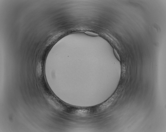 X0000110970158200907171718