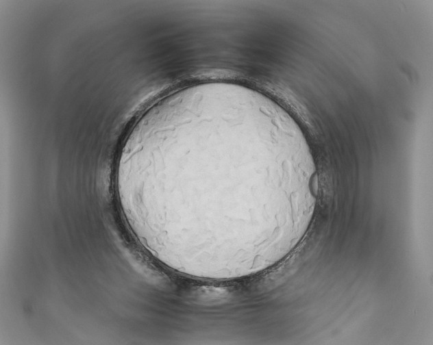 X0000110970159200907171718