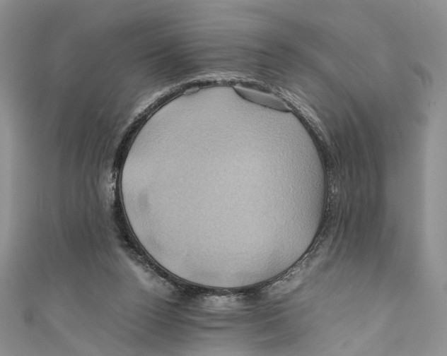X0000110970160200907171718