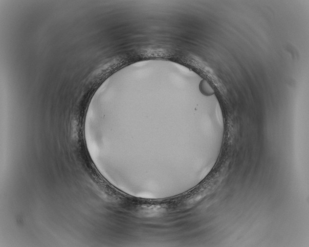 X0000110970161200907171718