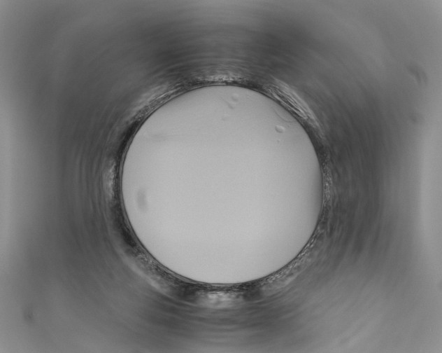 X0000110970163200907171718