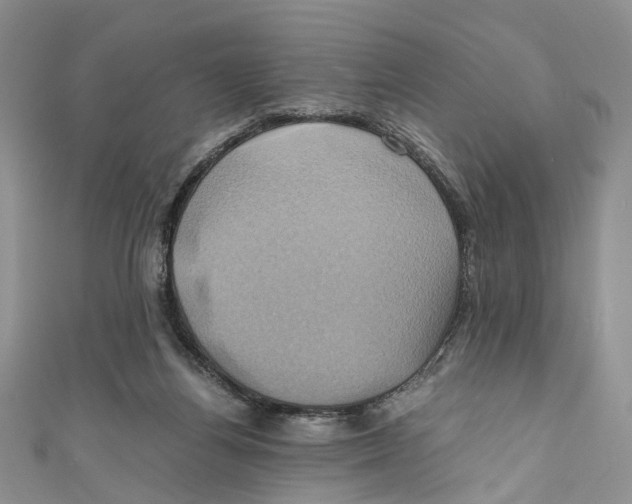 X0000110970164200907171718