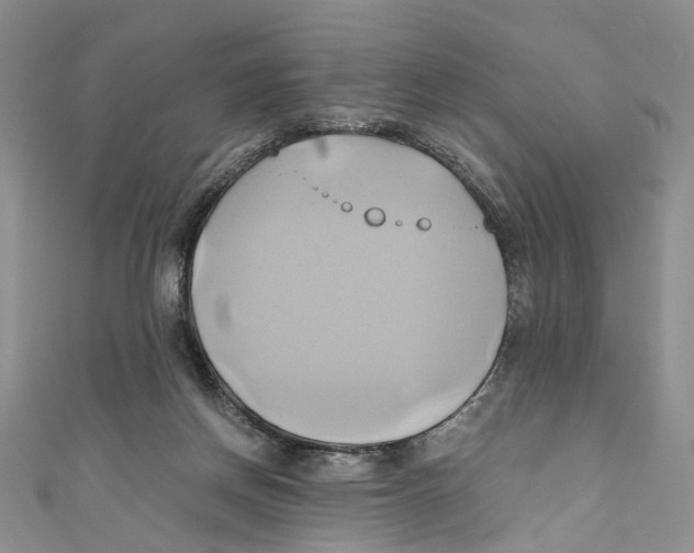 X0000110970166200907171718