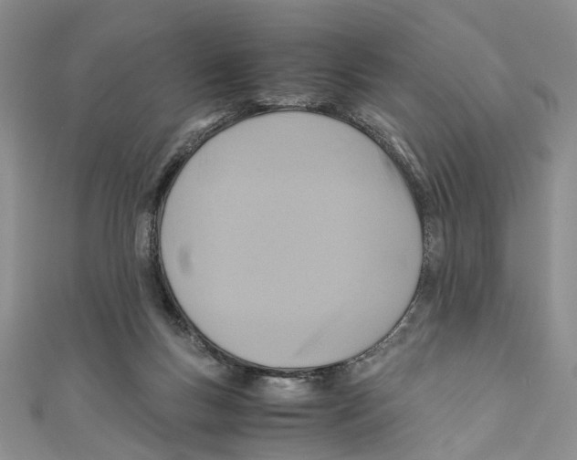 X0000110970167200907171718