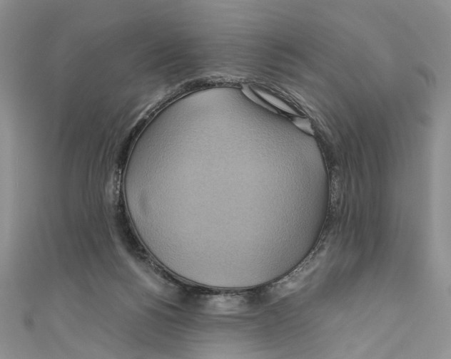X0000110970168200907171718
