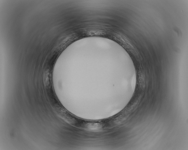 X0000110970169200907171718