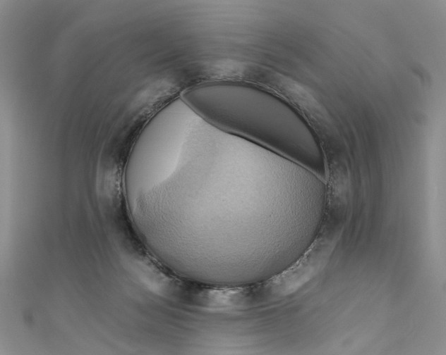 X0000110970172200907171718