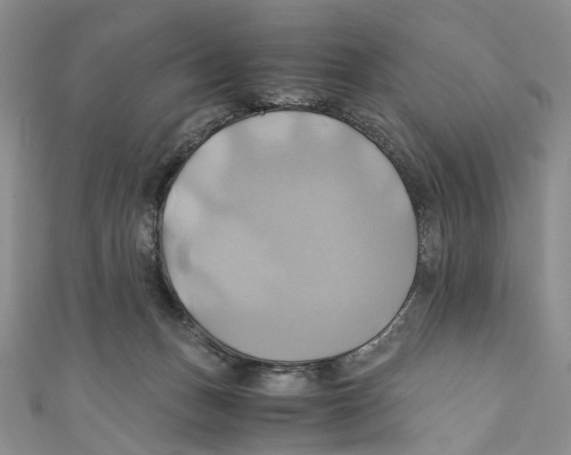 X0000110970175200907171718