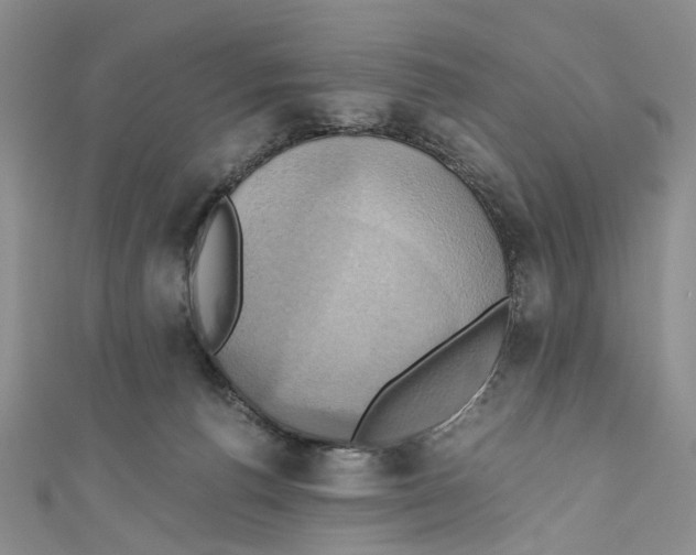 X0000110970176200907171718
