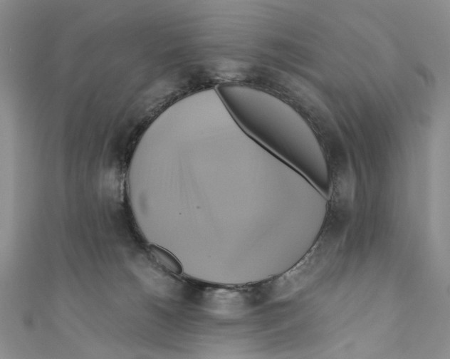X0000110970180200907171718