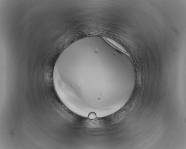 X0000110970181200907171718