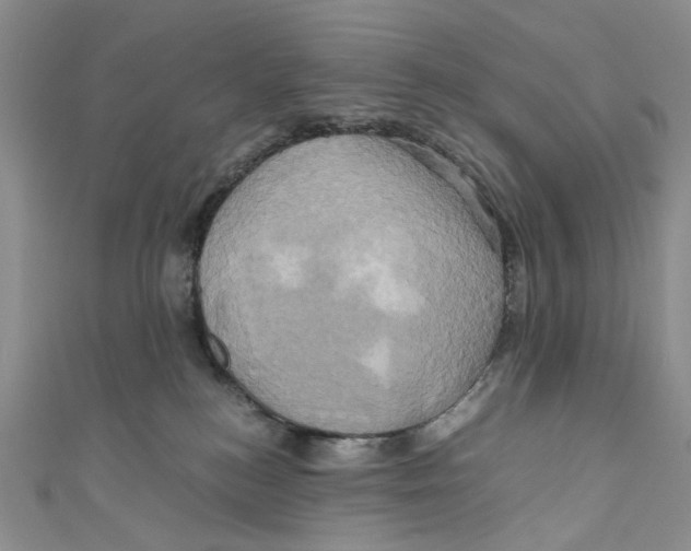 X0000110970184200907171718