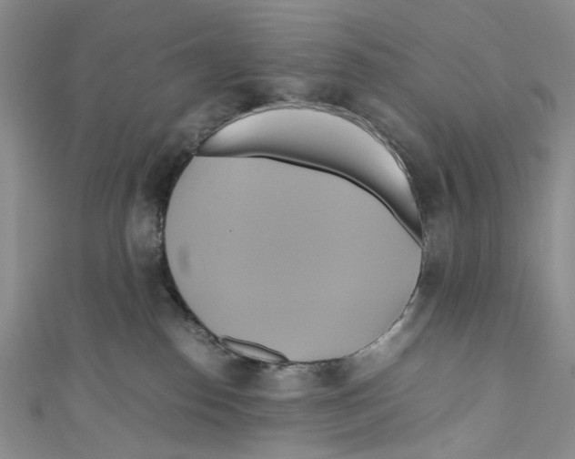 X0000110970186200907171718