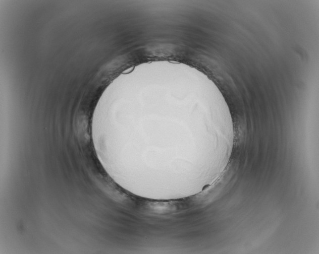 X0000110970187200907171718