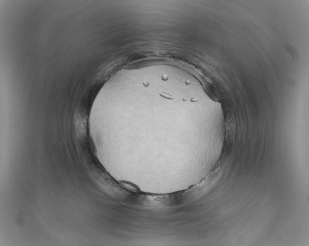 X0000110970188200907171718
