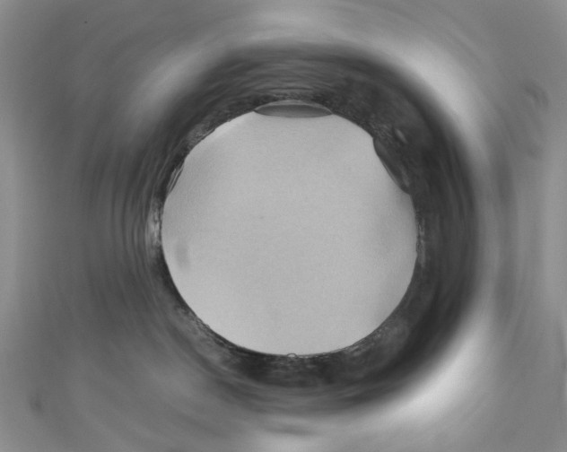 X0000110970190200907171718