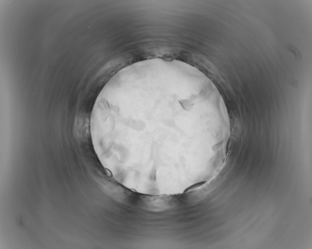 X0000110970191200907171718