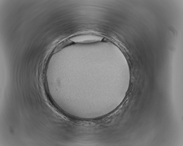 X0000110970193200907171718