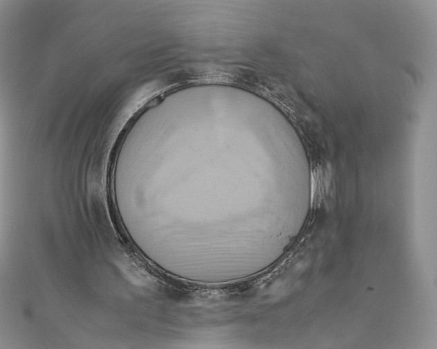 X0000110970195200907171718