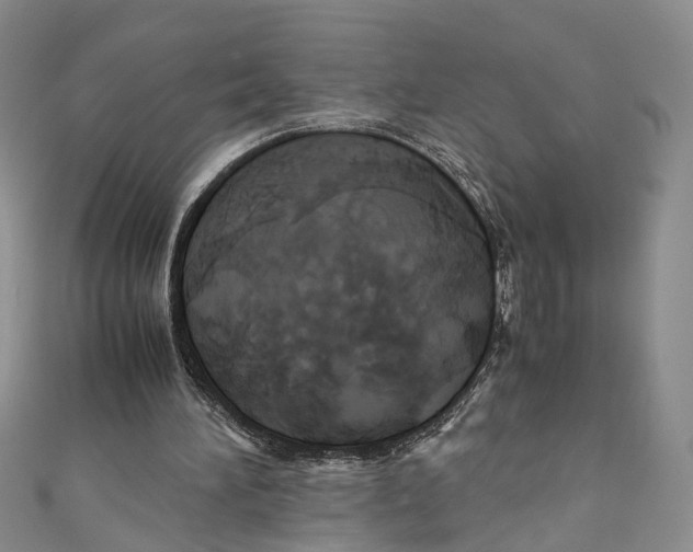 X0000110970196200907171718
