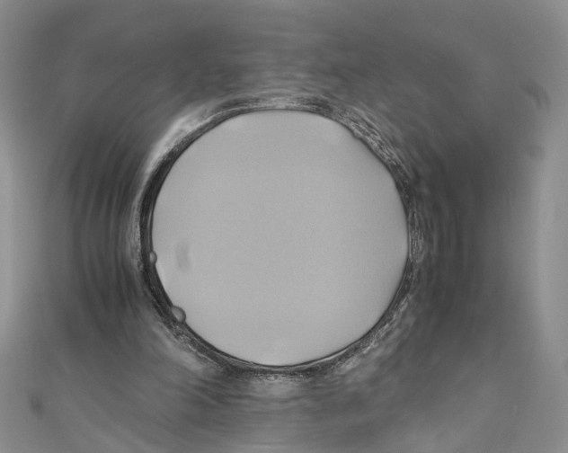 X0000110970198200907171718