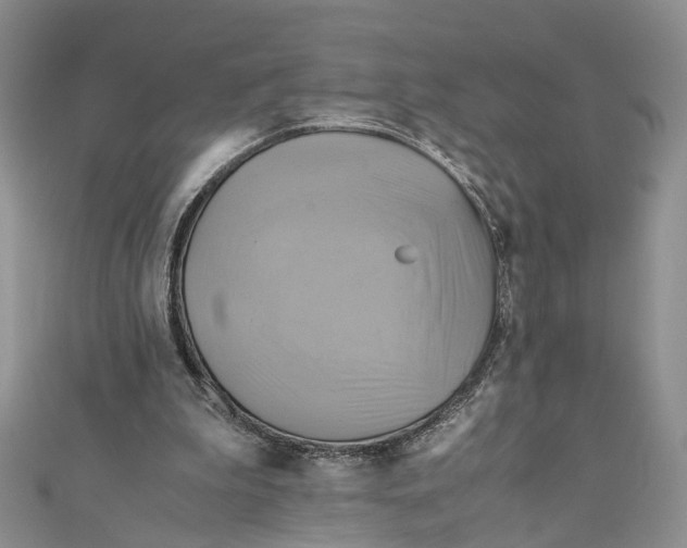 X0000110970199200907171718