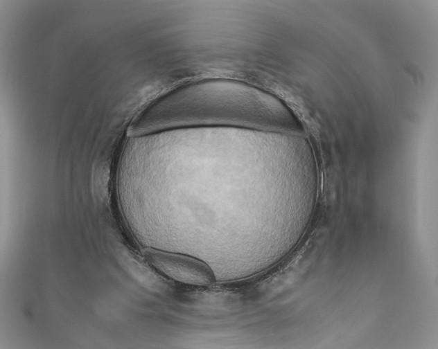 X0000110970201200907171718