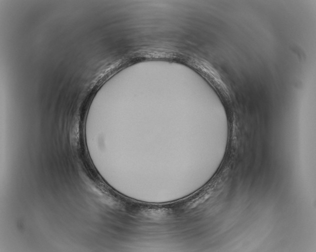 X0000110970202200907171718