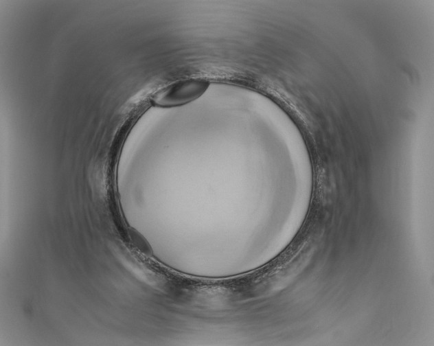 X0000110970203200907171718