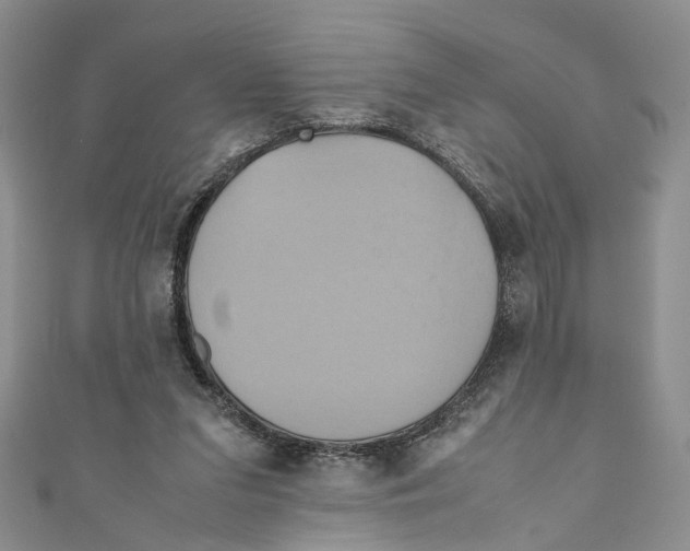 X0000110970207200907171718