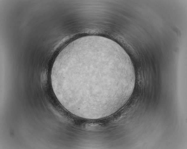 X0000110970208200907171718