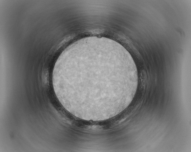 X0000110970212200907171718