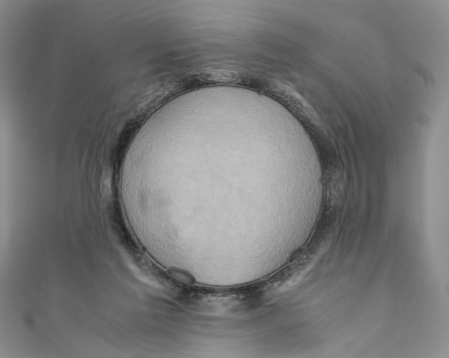 X0000110970213200907171717
