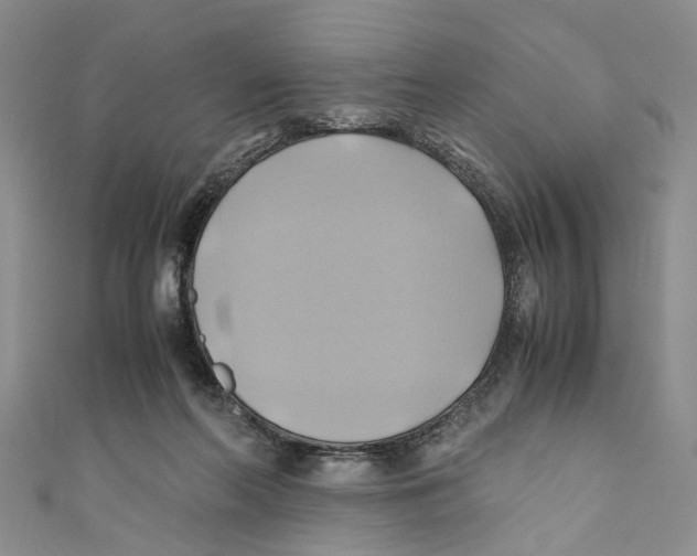 X0000110970214200907171717