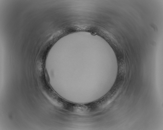 X0000110970215200907171717