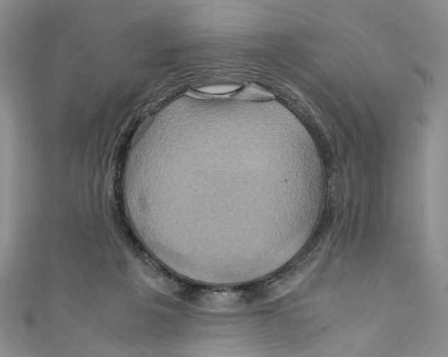 X0000110970217200907171717